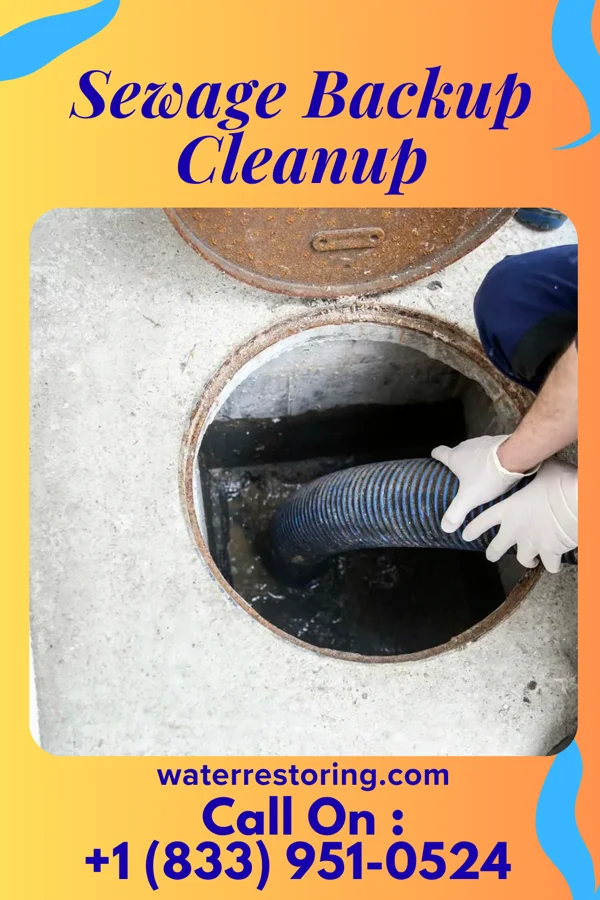 Sewage Backup Cleanup in Gem, KS
